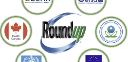 Viewpoint: Every independent risk agency in the world has concluded that the herbicide glyphosate is safe as used. What about its impact on wildlife, soil and watersheds?
